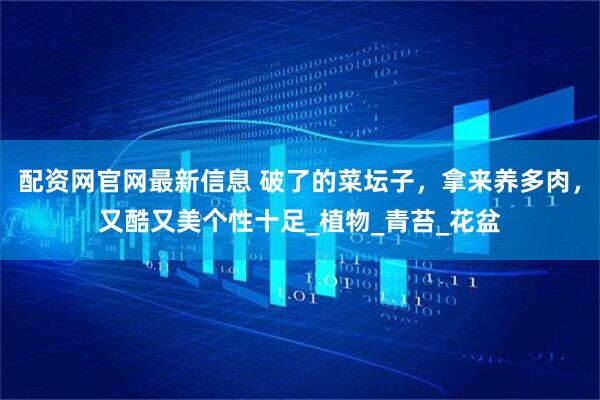 配资网官网最新信息 破了的菜坛子，拿来养多肉，又酷又美个性十足_植物_青苔_花盆