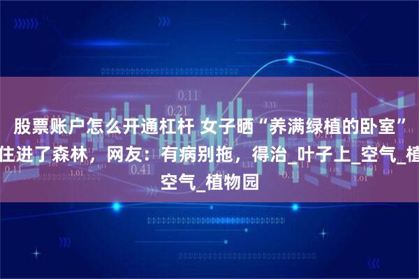 股票账户怎么开通杠杆 女子晒“养满绿植的卧室”，像住进了森林，网友：有病别拖，得治_叶子上_空气_植物园